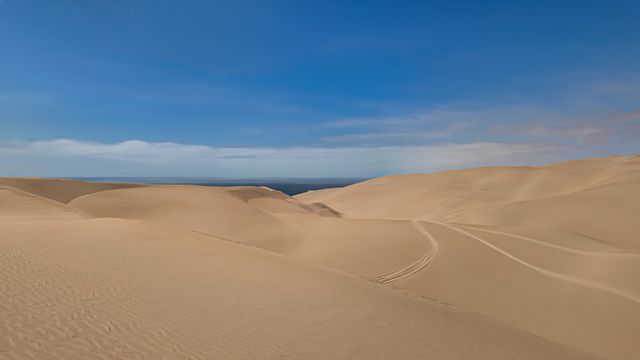 Half-day dune and ocean run at Sandwich Harbour