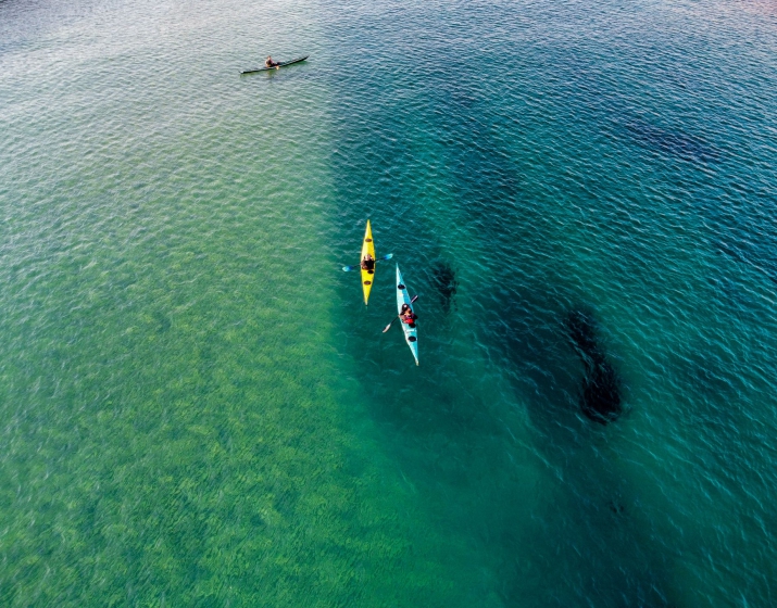 Sandwich Harbour & Seal Kayaking Tour