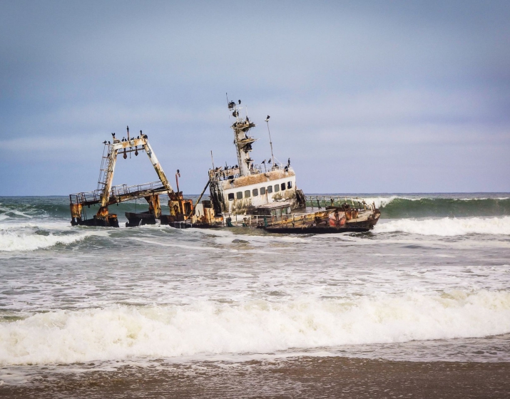 Sandwich Harbour & Shipwrecks Tour
